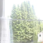 Harzspass