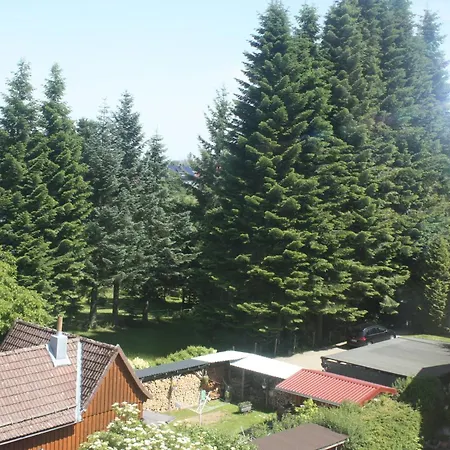 Harzspass Apartment *