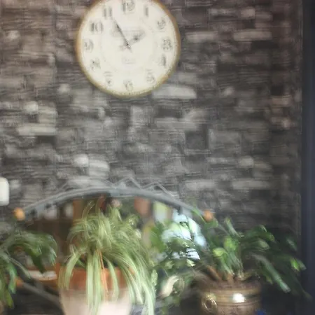 Harzspass Apartment *
