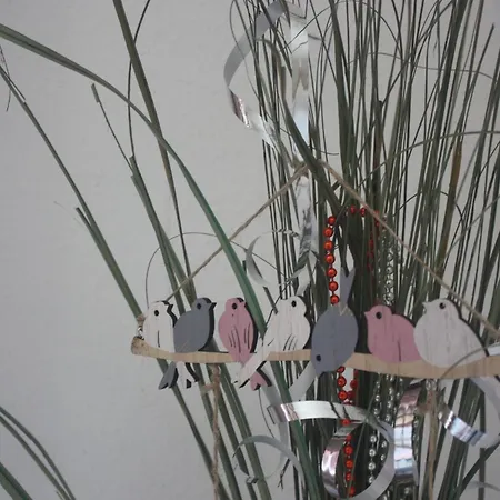 Harzspass Apartment *