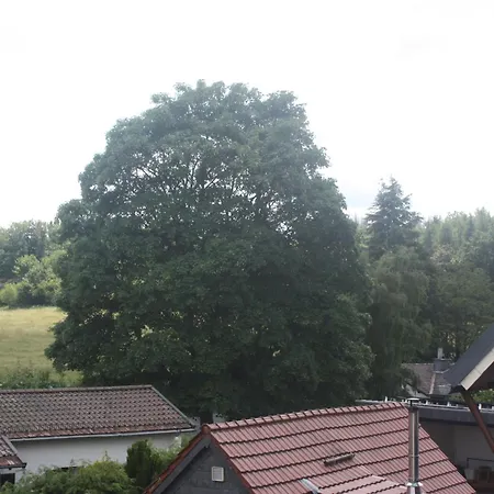 Harzspass *